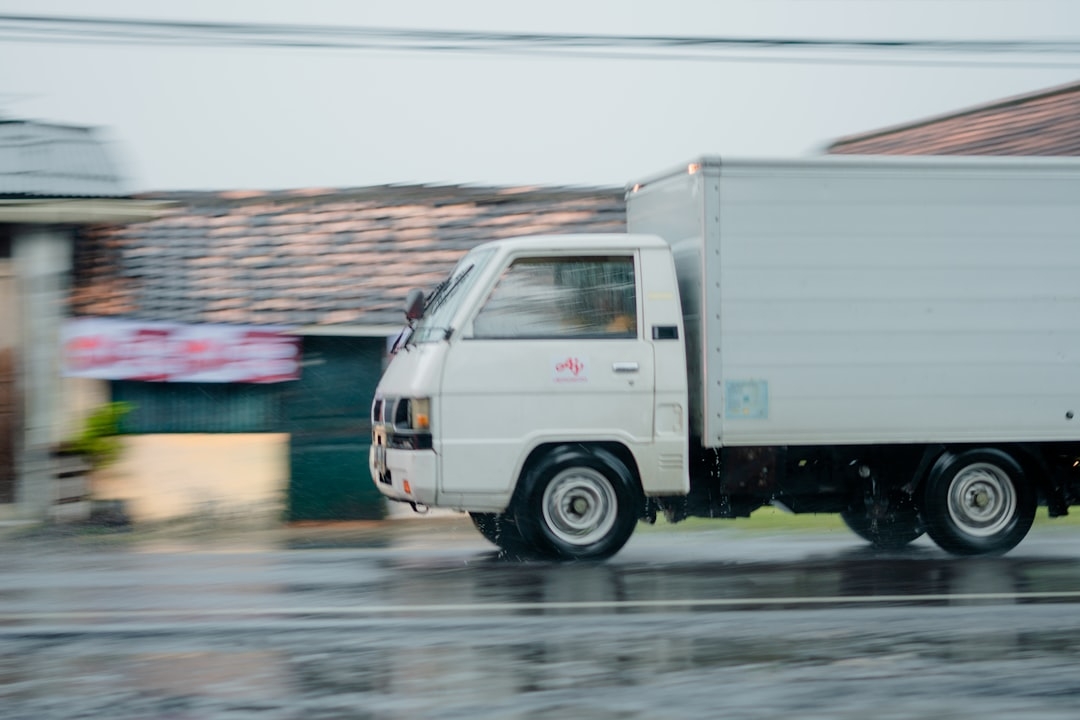 Vaciado de viviendas con limpieza incluida en Canovelles